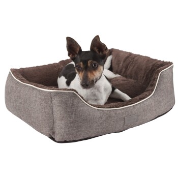 Ein kleiner schwarz-weißer Hund ruht sich in einem gemütlichen braunen Hundebett mit einem plüschigen Innenraum und einem hellen Rand aus.