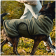 Ein mittelgroßer Hund mit einem schwarz-braunen Fell sitzt aufrecht und trägt eine dunkelgrüne Fleeceweste.