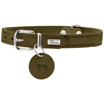 Olivgrüner Lederhundehalsband mit einer silbernen Schnalle und einem runden Anhänger mit einer Hundesilhouette, markiert mit "HUNTER."