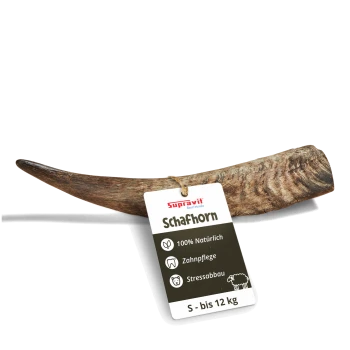 Ein natürlicher, gebogener Hundekauartikel aus einem Horn, der eine strukturierte braune Oberfläche vor einem weißen Hintergrund zeigt.