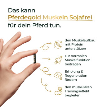 Hand hält Pellet neben Text 'Pferdegold Muskeln Sojafrei' mit Aufzählung: Muskel, Funktion, Regeneration, Training.