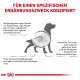 Illustration eines Hundes mit Grafiken des Verdauungssystems, die Probleme wie Erbrechen und Durchfall hervorheben, mit Text über spezifische Ernährungsbedürfnisse.