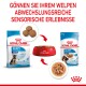 Verpackung von Royal Canin Welpenfutter mit Trockenfutter und Nassfutteroptionen, mit einer roten Schüssel und Text, der sensorische Erfahrungen für Welpen fördert.