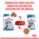 Verpackung von Royal Canin Welpenfutter mit Trockenfutter und Nassfutteroptionen, mit einer roten Schüssel und Text, der sensorische Erfahrungen für Welpen fördert.