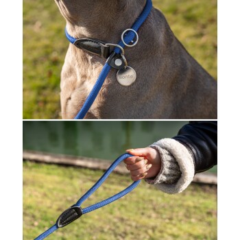 Eine Person in einer blauen Jacke und schwarzen Leggings steht im Wald und hält eine Leine, die an einem sitzenden schwarz-braunen Hund befestigt ist.