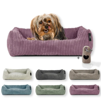 ® Hundebett waschbar für kleine Hunde mit Hundekissen Cord (ca. 55x42 cm) inkl. Gassibeutel Ein kleiner Hund sitzt glücklich in einem plüschigen, lila Haustierbett, umgeben von verschiedenen farbigen Betten in Grün, Grau und Blau.