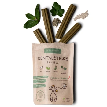 Zahnfee Dental Sticks – Frischer Atem & Zahnpflege 360 g Vegane Zahnsticks für Hunde in einer braunen Papiertüte, mit Zutaten wie Reis, Minze und Algen, mit einer niedlichen Hundillustration.