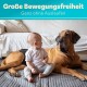 Ein Deutscher Dogge ruht auf einer grauen Matte neben einem sitzenden Baby in einem weißen Shirt und grauen Hosen, mit einer hellen Couch im Hintergrund.