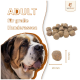 Hundefutter für große Rassen, mit einem Bernhardiner-Hund, Größenvergleich der Kroketten (10mm und 20mm) und dem Markennamen 'WILDFANG.'