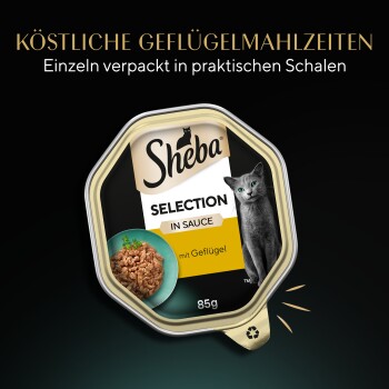 Sheba Katzenfutter-Schale mit Aufschrift 'SELECTION IN SAUCE' und 'mit Geflügel' 85 g mit Katzenfoto; Hintergrundtext 'KÖSTLICHE GEFLÜGELMAHLZEITEN'.