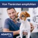 Kleiner weiß-brauner Hund wird vom Tierarzt untersucht; sichtbarer Text: 'Von Tierärzten empfohlen' und 'ADAPTIL Calm'.