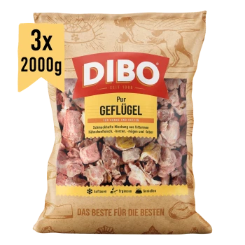 DIBO Geflügel Haustierfutterpaket (2000 g) für Hunde und Katzen, als ergänzendes Tiefkühlfutter gekennzeichnet, mit Bildern einer Katze und eines Hundes.