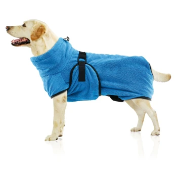 Ein glücklicher gelber Labrador, der einen blauen Hundetuchmantel mit schwarzen Riemen trägt und auf einer reflektierenden Oberfläche steht.