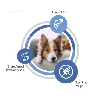 Ein kleiner Welpe schnüffelt im Gras, umgeben von Symbolen und Text, der "Reich an Ballaststoffen", "Psyllium" und "Hoher Proteingehalt" hervorhebt.