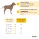 Bild zeigt die Silhouette eines Hundes mit Anweisungen zur Messung des Halsumfangs und zur Auswahl der Halsbandgröße, einschließlich einer Größentabelle.