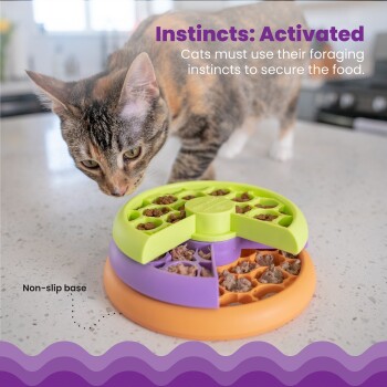Kitty Lickin' Layers Intelligenzspielzeug