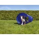 Ein glücklicher Hund läuft an einem sonnigen Tag aus einem blauen Agility-Tunnel, mit grünem Gras und einer Hecke im Hintergrund.