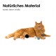 Eine orange flauschige Katze mit grünen Augen liegt auf einem weißen Hintergrund, umgeben von bunten Filzkugeln in Schwarz, Grau und Türkis.