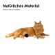 Eine orange flauschige Katze mit grünen Augen liegt auf einem weißen Hintergrund, umgeben von bunten Filzkugeln in Schwarz, Grau und Türkis.