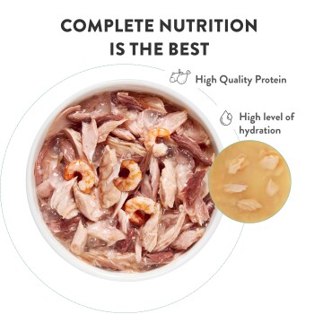 Bowl of wet pet food with shrimp and meat chunks, labeled "Complete Nutrition is the Best" with high protein and hydration benefits.
