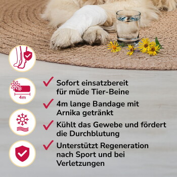 Hundepfote, die in einem Verband liegt, auf einem Teppich neben einem Glas Wasser und gelben Blumen, mit deutschem Text über einen 4m Arnika-Verband.