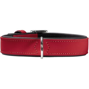 Rotes, abgestepptes Lederhundehalsband mit schwarzem, gepolstertem Futter und silbernem D-Ring und Schnalle, Vorderansicht.