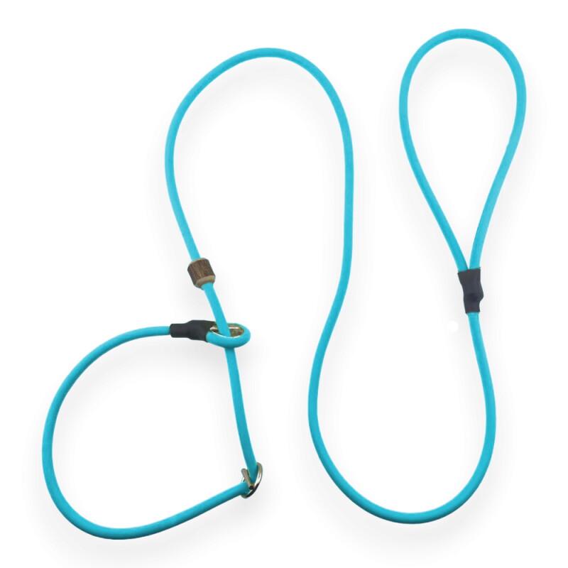 ROMNEYS Moxonleine Biothane Neon Pro