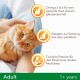Gros plan sur un chat orange tenu, avec un texte sur les avantages : Oméga 3 & 6 pour la peau, recette de pH urinaire, et protéines pour les muscles. Étiquette : "Adulte 1+ ans."