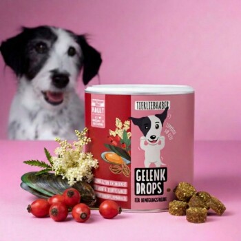 Behälter mit "Gelenk Drops" Haustierergänzung, 350g, mit einem Pfotenabdruckdesign, umgeben von Kräutern und goldenen Leckereien auf einem rosa Hintergrund.
