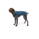 Ein brauner und grauer Hund, der eine blaue gesteppte Jacke mit einem gelben Kragen trägt, auf einem weißen Hintergrund stehend.
