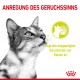 Nahaufnahme des fokussierten Gesichts einer Katze mit deutschem Text, der ein Produkt bewirbt, das den Geruchssinn von Katzen anregt.