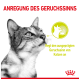 Nahaufnahme des fokussierten Gesichts einer Katze mit deutschem Text, der ein Produkt bewirbt, das den Geruchssinn von Katzen anregt.