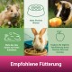 Bild eines Hamsters, Meerschweinchens und Kaninchens mit Fütterungstipps: "Frisches Wasser", "Unbegrenztes Heu", "Frisches Obst und Gemüse."