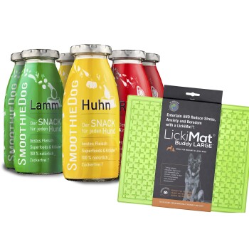 Vier bunte Smoothie-Flaschen mit der Aufschrift 'SmoothieDog' in grün (Lamm), gelb (Huhn) und rot, neben einer grünen LickiMat Buddy LARGE für Hunde.