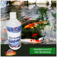 Flasche mit aqua-Cer Koi-Humin Konzentrat vor einem Teich mit bunten Koi-Fischen, mit dem Text "SICHERER SCHUTZ FÜR TEICHFISCHE."