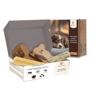 Box mit Hundekauspielzeugen in verschiedenen Formen aus Naturholz und Knochen, mit einem Hintergrundbild eines Hundes und Text auf Deutsch.