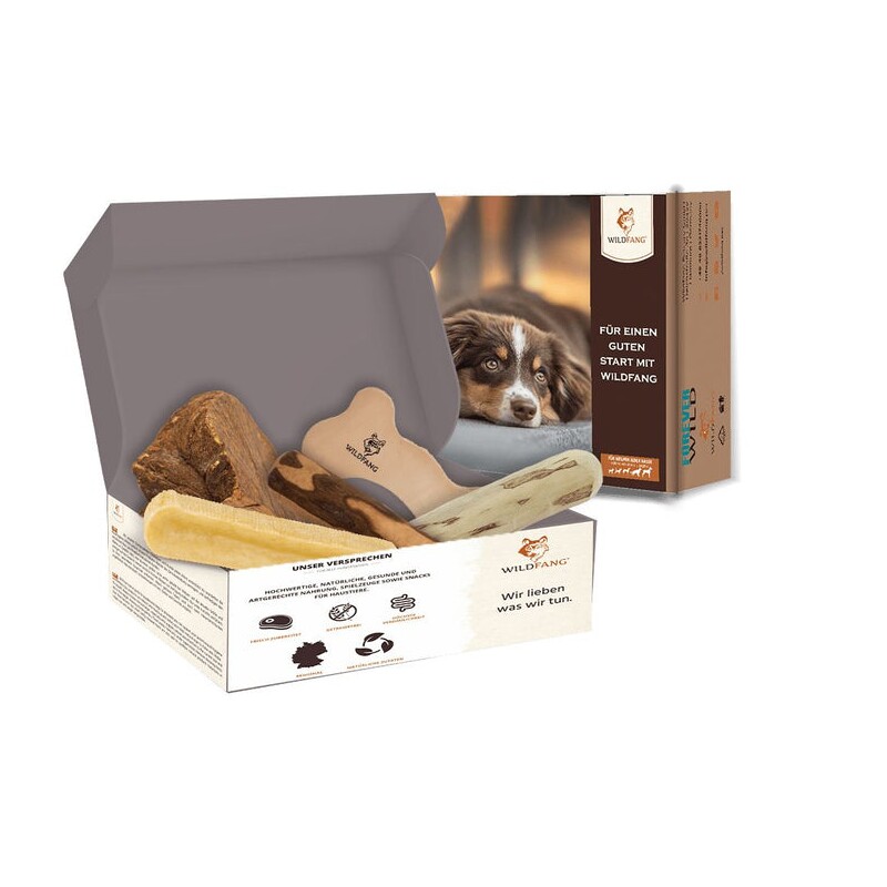 Wildfang ® Kauwurzel / Kauspielzeug Paket Hundebox - Kauspaß S