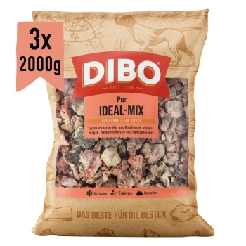 DIBO Ideal-Mix Hundefutterverpackung, die eine Mischung aus Rindfleisch, Hühnerfleisch und Leber zeigt. Enthält 2000g, geeignet für ältere und übergewichtige Hunde.