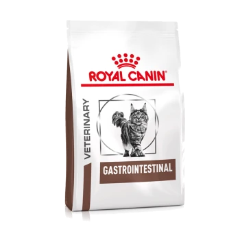 Royal Canin Veterinär Gastrointestinal Katzenfutterbeutel mit einer Illustration einer grauen getigerten Katze und dem Markennamen oben.