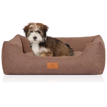 Flauschiger braun-weißer Welpe sitzt in einem rechteckigen braunen Hundebett mit einem Lederetikett vorne mit der Aufschrift 'KNUFFELWUFF'