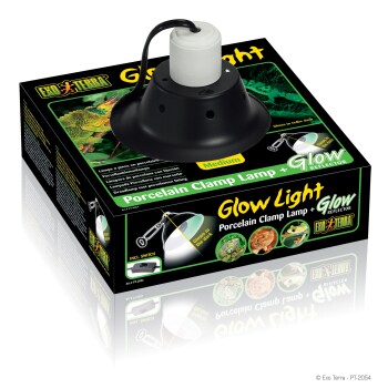 Glow Light Porzellan