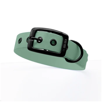 Ein mintgrüner Hundehalsband mit einer schwarzen Schnalle und Löchern zur Anpassung, mit dem eingeprägten Text "THE DOG IDEA" auf der Schnalle.