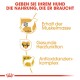 Bild, das die Vorteile von Hundefutter bewirbt, mit dem Text: "GEBEN SIE IHREM HUND DIE NAHRUNG, DIE ER BRAUCHT" und Symbolen für Gesundheitsvorteile.