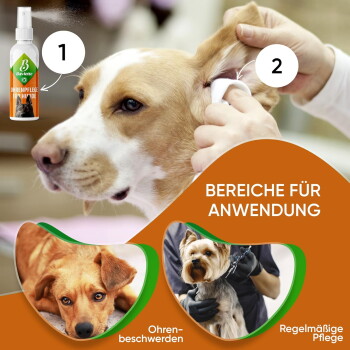 Ohr eines Hundes wird mit einem Wattepad gereinigt, Ohrenpflege-Spray sichtbar; sichtbarer Text „BEREICHE FÜR ANWENDUNG“.
