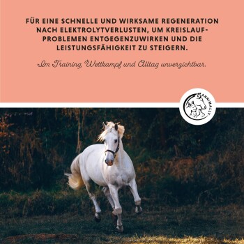 Ein weißes Pferd galoppiert auf einer grasbewachsenen Fläche mit einem rosa Hintergrund, der Text über Elektrolyt-Wiederherstellung und das ANIMALY-Logo zeigt.
