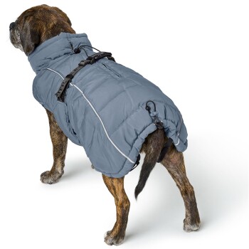 Ein Hund trägt einen grauen Puffer-Mantel mit hohem Kragen und verstellbaren Riemen, steht vor einem weißen Hintergrund.