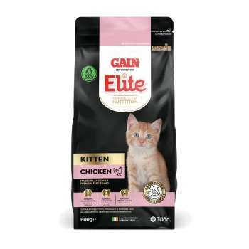 Bag of Gain Elite kitten food, 800g, featuring a playful orange kitten on the front, labeled "Chicken" and "Complete Cat Nutrition."