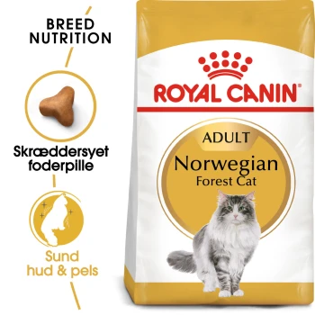Royal Canin Adult Norwegian Forest Cat Futterbeutel mit einer grauen Katze, mit Text, der die Ernährungsbedürfnisse der Rasse und Vorteile für Haut und Fell hervorhebt.