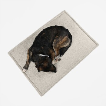 Ein schwarz-brauner Hund, der auf einer weichen, hellgrauen Haustiermatte zusammengerollt schläft.