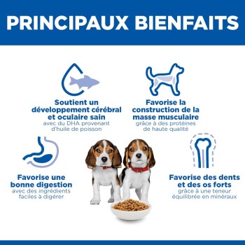 Affiche indiquant «PRINCIPAUX BIENFAITS» avec des icônes et des textes d'avantages en français, montrant deux chiots beagle et une gamelle de croquettes